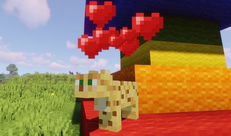 The signal that an Ocelot finally trusts the player (Image via Minecraft)