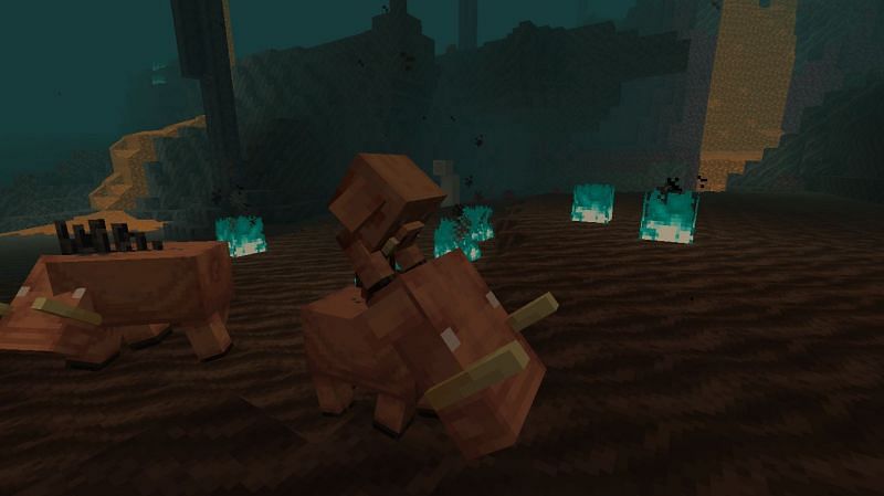 Minecraft Nether Update 1.16: the latest Minecraft update brings new biomes  and mobs