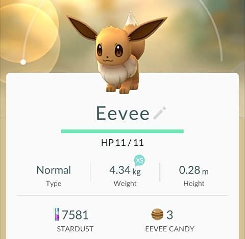 Glaceon can only be obtained by evolving an Eevee