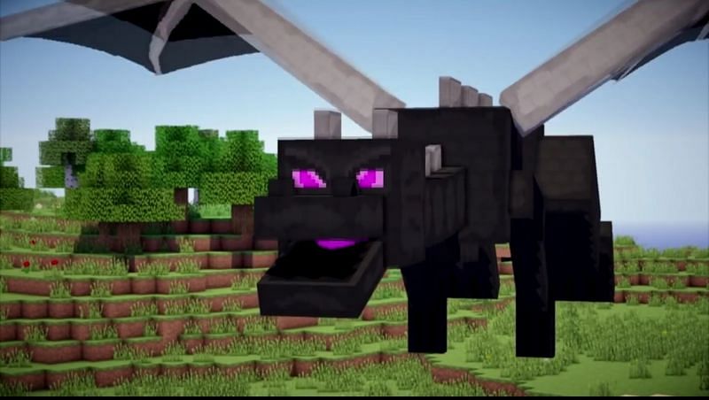 Ender Dragon in Minecraft (Image via explodingtntfandom)