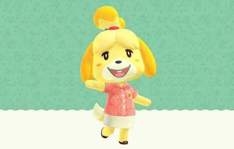 Appearance&nbsp;of Isabelle