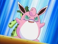Evolving Jigglypuff