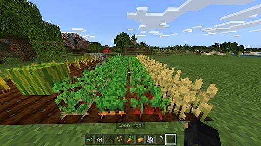 How to Farm in Minecraft