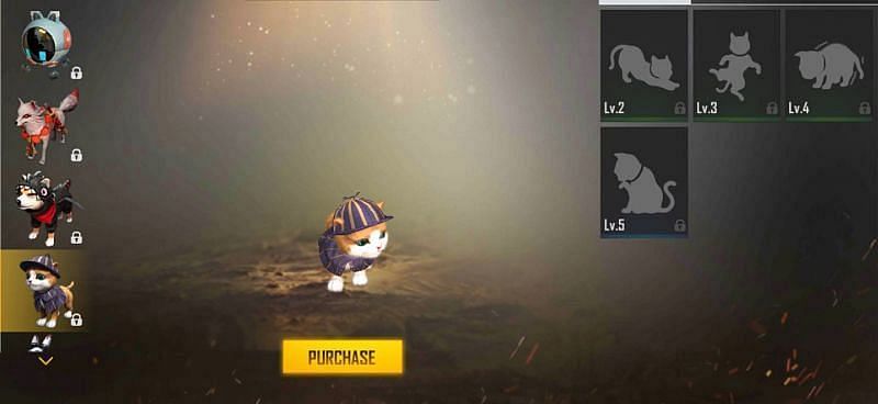 Free Fire में Kitty