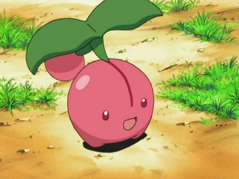 Cherubi in the anime (Image via The Pokemon Company)