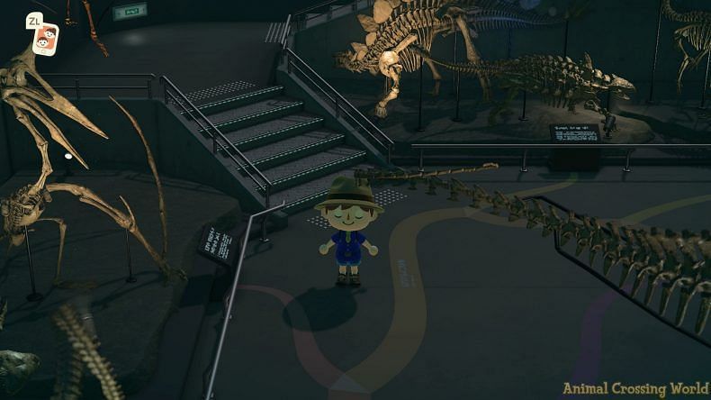 Collecting stamps for the Fossils Exhibit (Image via Animal Crossing world)