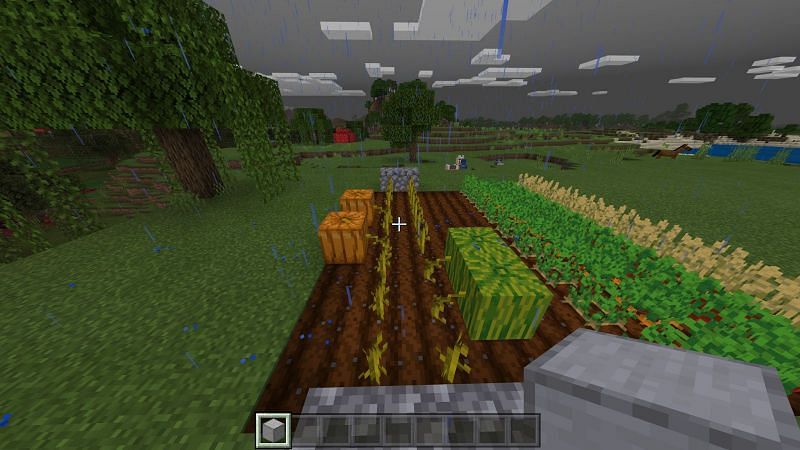 Farming melons or &lt;span class=&#039;entity-link&#039; id=&#039;suggestBtn-26&#039;&gt;pumpkin&lt;/span&gt; Minecraft