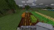 Farming melons or <span class='entity-link' id='suggestBtn-26'>pumpkin</span> Minecraft