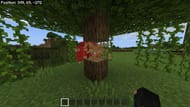 How to Craft a Grindstone in Minecraft