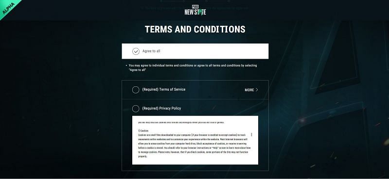 Terms of Conditions of PUBG New State