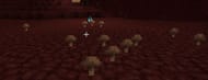 Growing Mushrooms In The Nether