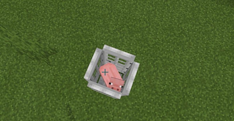 Making an animal trap to catch any mob in Minecraft