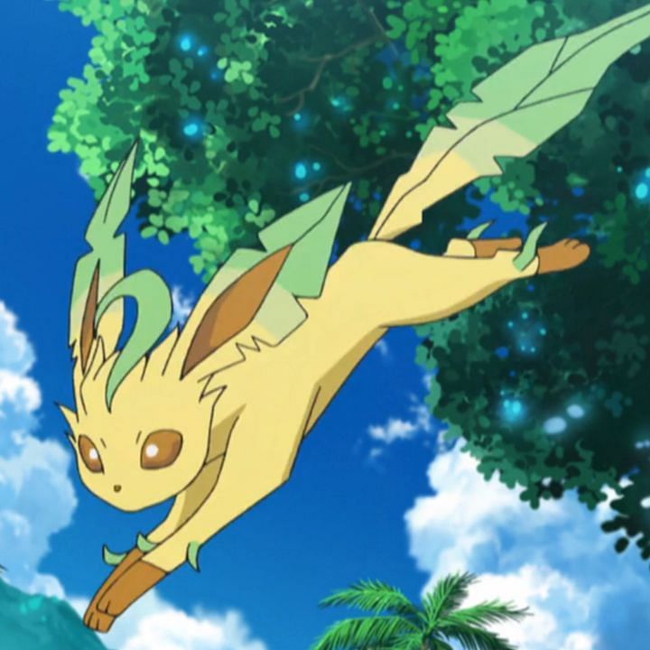 Leafeon, Pokémon Wiki