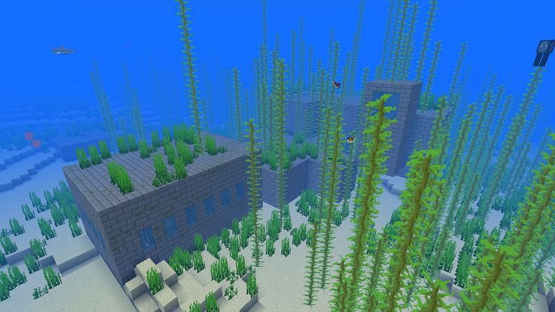 5 Best Minecraft Java Ocean Seeds In 21