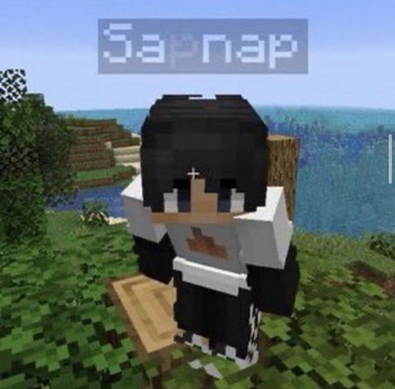 Sapnap&#039;s Minecraft skin (Image via Sapnap)