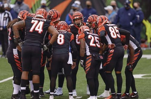 Cincinnati Bengals