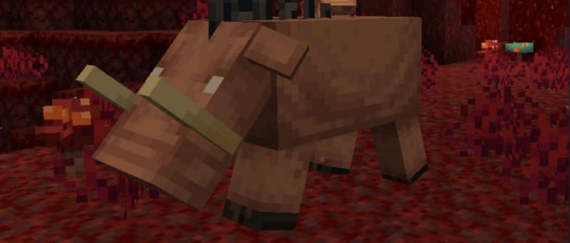 roblox headless pig Minecraft Mob Skin