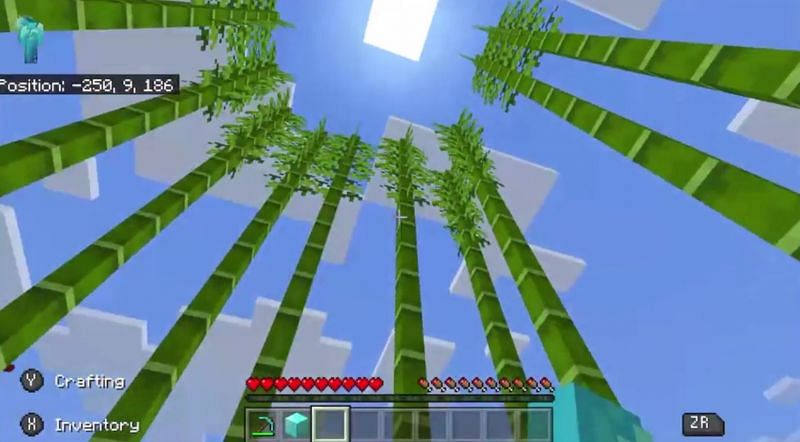 If a player sees bamboo quickly grow around them, they should accept their fate (Image via u/ZachRob99 on Reddit)