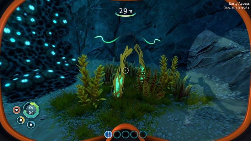 How to find a Ribbon Plant in Subnautica Below Zero