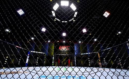 The UFC has long been the world's premier MMA organization