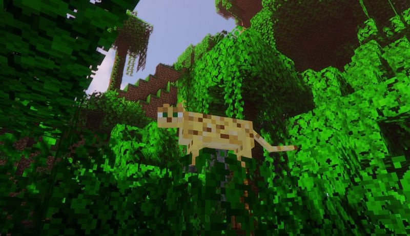 An Ocelot in his natural habitat (Image via Minecraft)