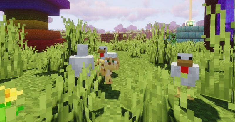 An Ocelot assaulting a group of innocent Chickens (Image via Minecraft)
