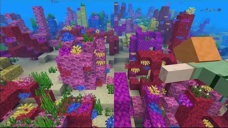 Coral reef in Minecraft (Image via Branding)