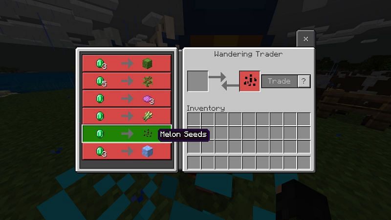 Locating melon seeds in Minecraft