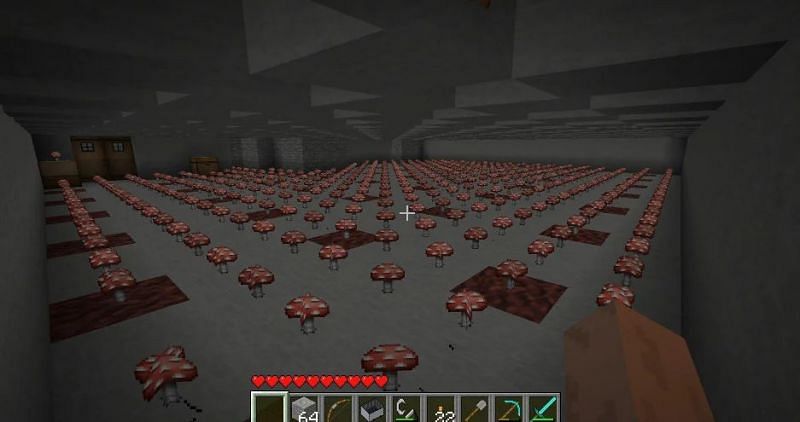 An absolutely massive red mushroom farm (Image via u/Hockinator on Reddit)