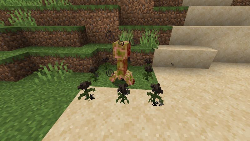 A creeper undergoing the wither effect (Image via Mojang Studios)