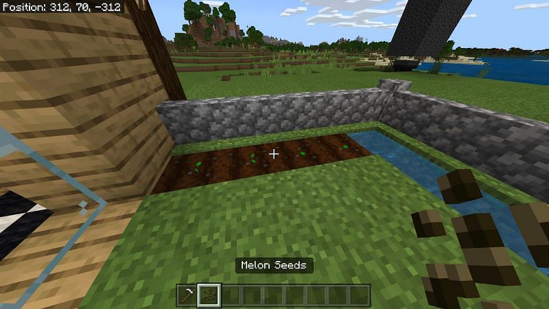 Planting melon seeds minecraft