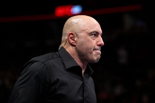 UFC commentator and podcast host Joe Rogan