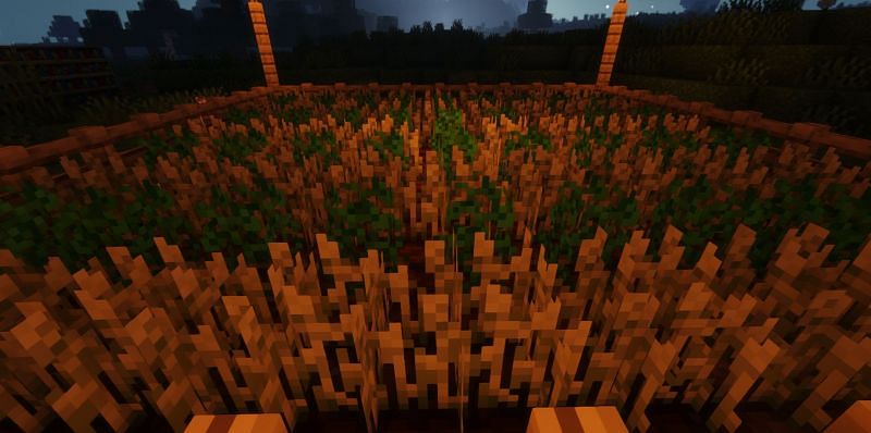 Shown: The efficient farm seen at night (Image via Minecraft)