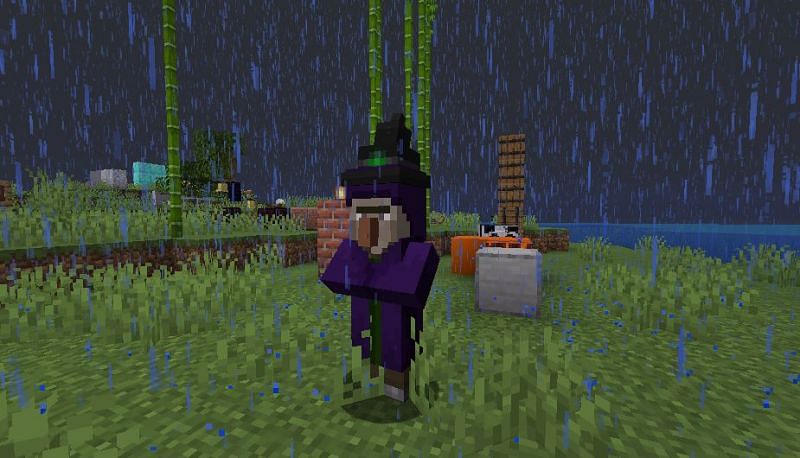 Witch in Minecraft (Image via Reddit)