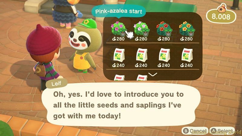 (Image via Animal Crossing world)