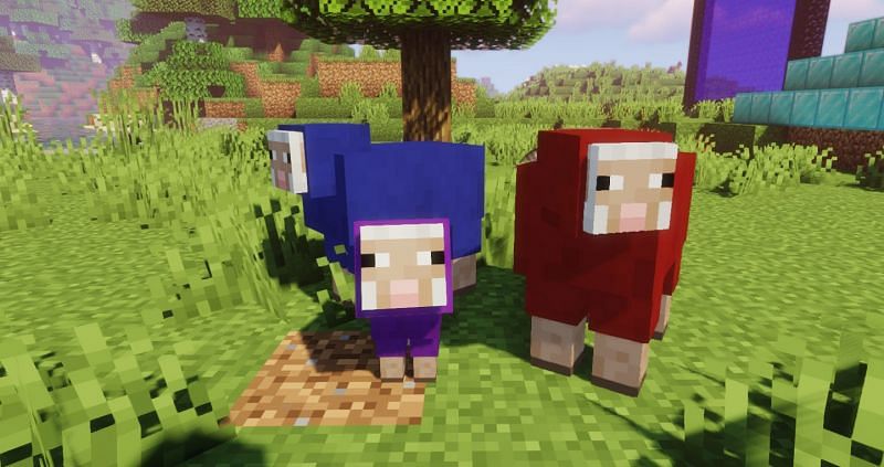 Shown: An exotic sheep family (Image via Minecraft)