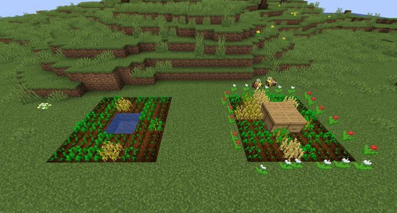 A small farm being helped by some bees (Image via a deleted user on Reddit)