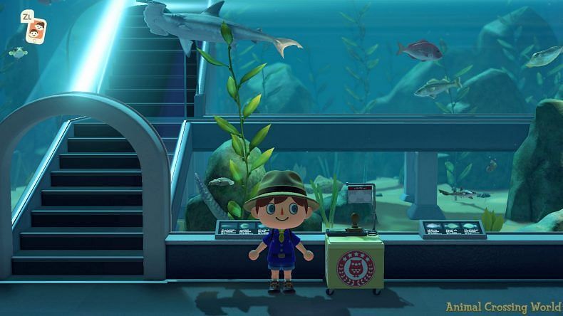 Collecting stamps for the Fish Exhibit (Image via Animal Crossing world)