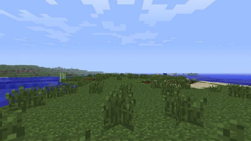 Players can find a wooded mountain biome in this seed (Image via Minecraft Forum)