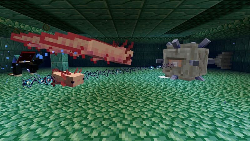 Axolotls fighting elder guardian (Image via Minecraft Wiki)