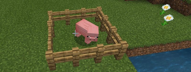 Using an animal trap Minecraft