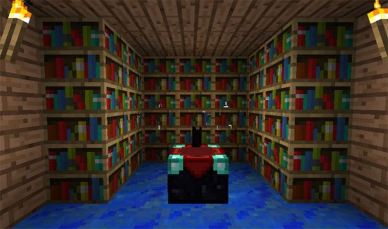 Bookshelf around enchantment table (Image via apiofnhanddeltat.com)