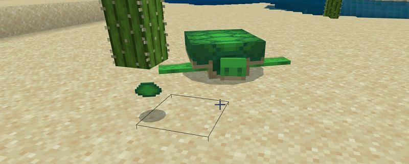 You can get scutes naturally in Minecraft by waiting for a baby turtle to grow into a full adult