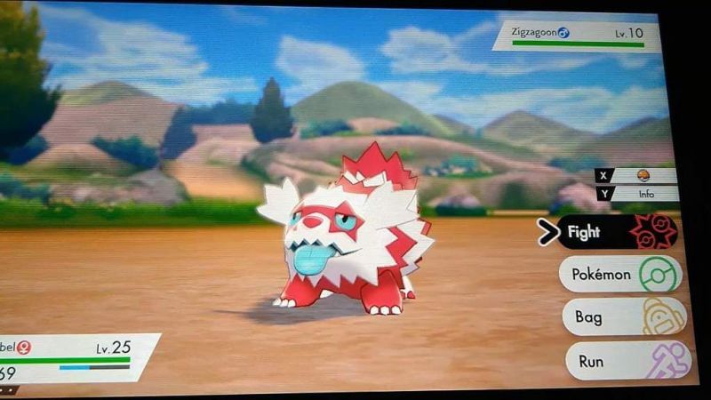 When Does Shiny Galarian Zigzagoon Arrive In Pokemon Go