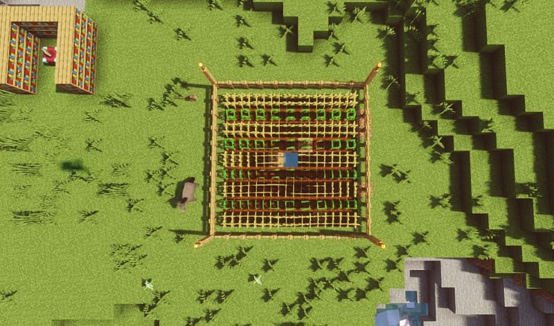 Shown: The efficient farm viewed from above (Image via Minecraft)