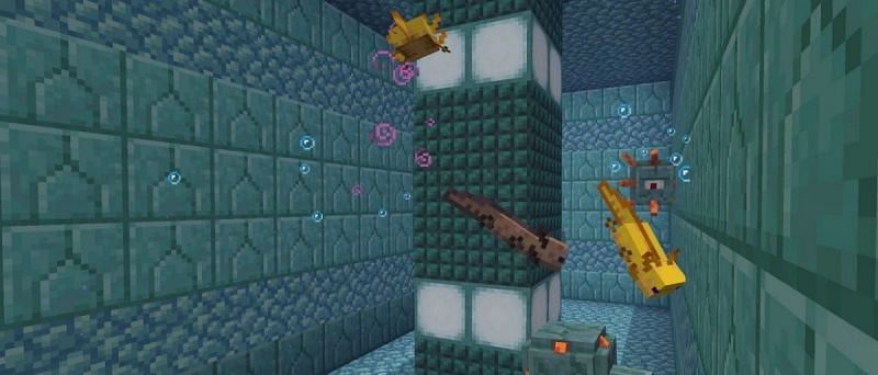 Axolotls and guardian (Image via Minecraft.net)