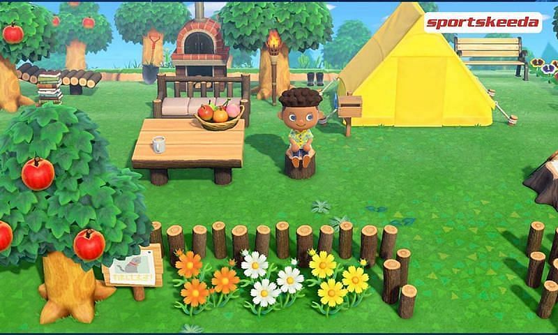 Nintendo Unveils New Animal Crossing Minigame At E3 2021 For WarioWare?  - Animal Crossing World