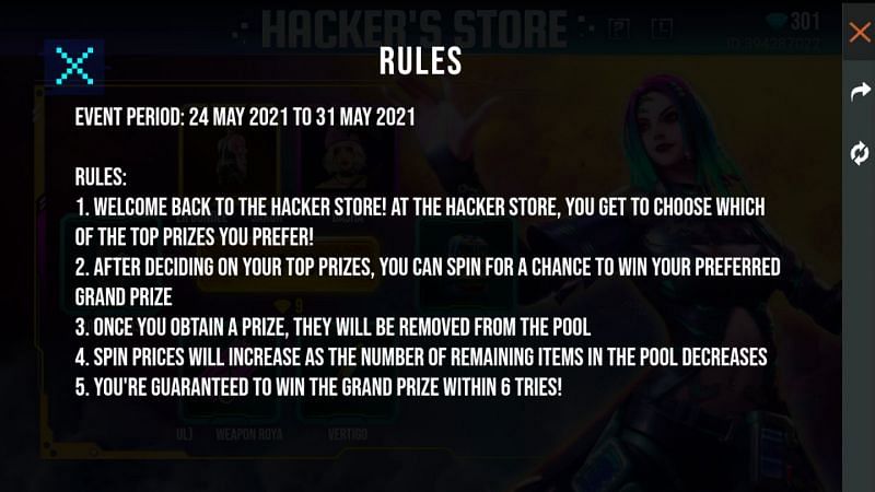 Rules of the Hacker