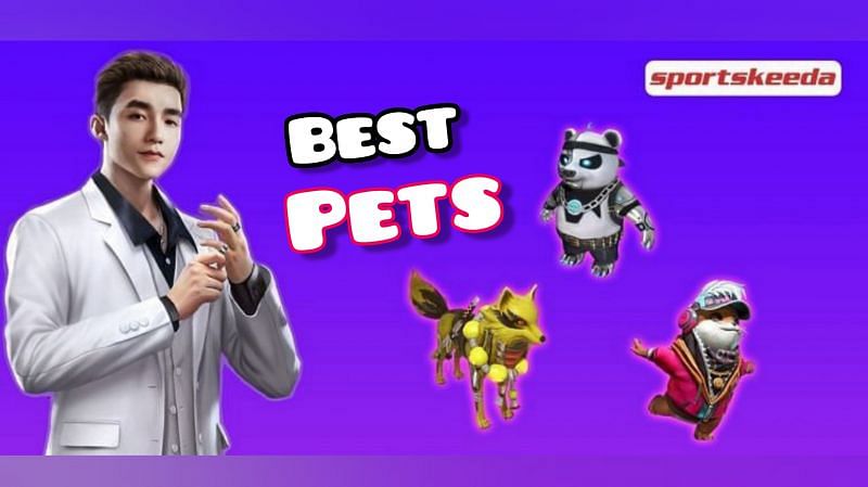 Listing the best pets to pair with Skyler for rank push