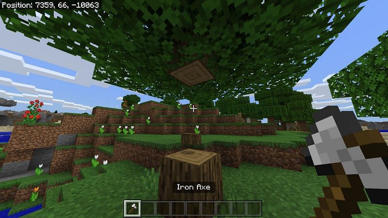 gather woods to make ladder in Minecraft